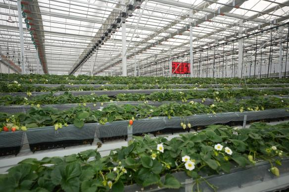 ����˹(886699-WNS��֤)���޹�˾����